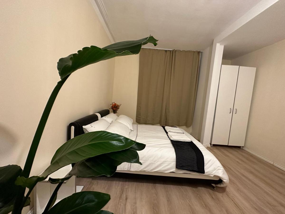 North London A Spacious 7 Bedroom House Accommodating Up To 18 People Complete With Own Gym And Table Tennis Ngoại thất bức ảnh